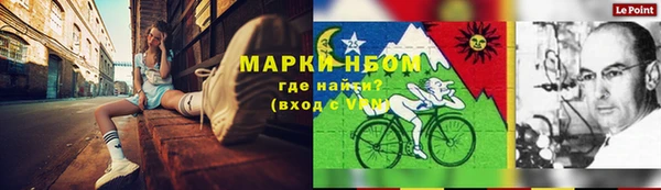ECSTASY Алзамай