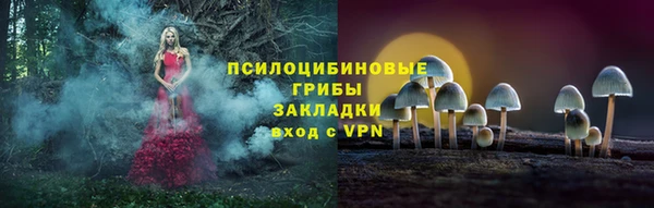 a pvp Алексин