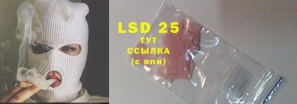 ECSTASY Алзамай
