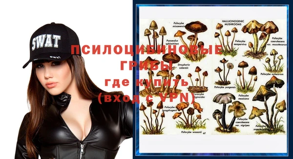 a pvp Алексин